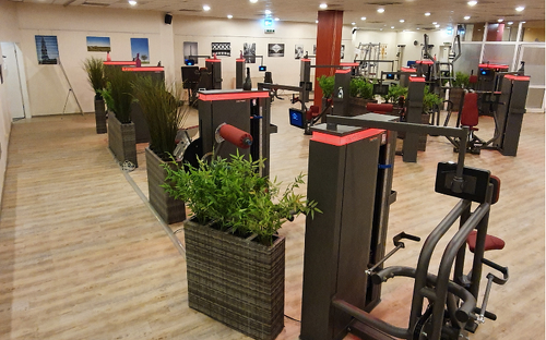 6 Monate Sport im Studio50 Bonn