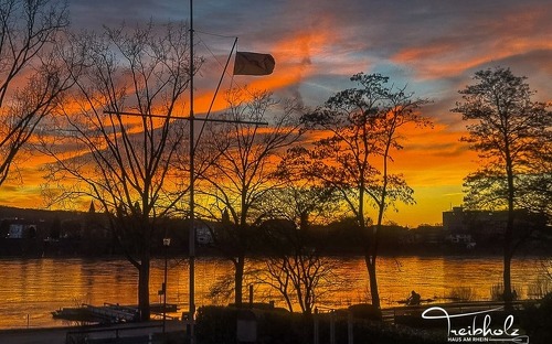 100 € Gutschein für das Restaurant "Treibholz" Haus am Rhein