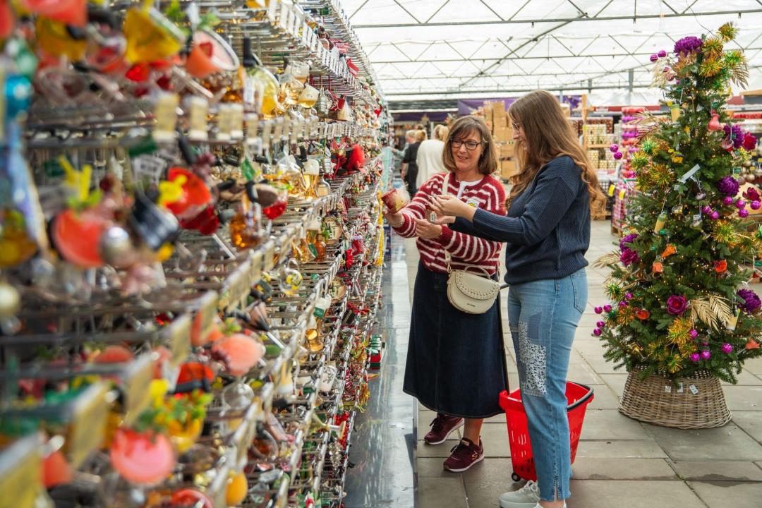  Gutschein im Wert von 50 Euro auf das gesamte Sortiment von Budgetplant.de in Venlo 