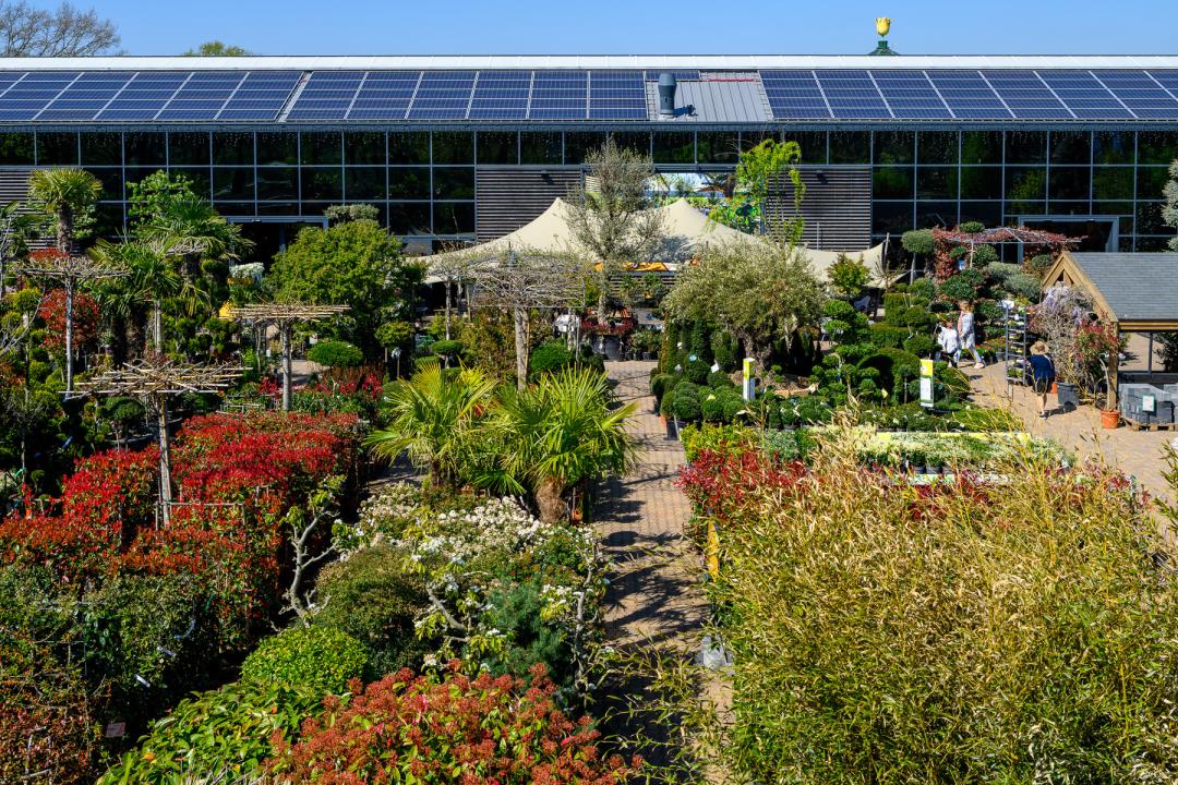 100-Euro-Gutschein vom Gartencenter Leurs in Venlo 