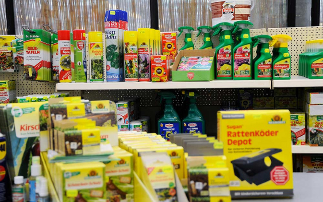 50 € Gutschein für Kissener's Gartenmarkt