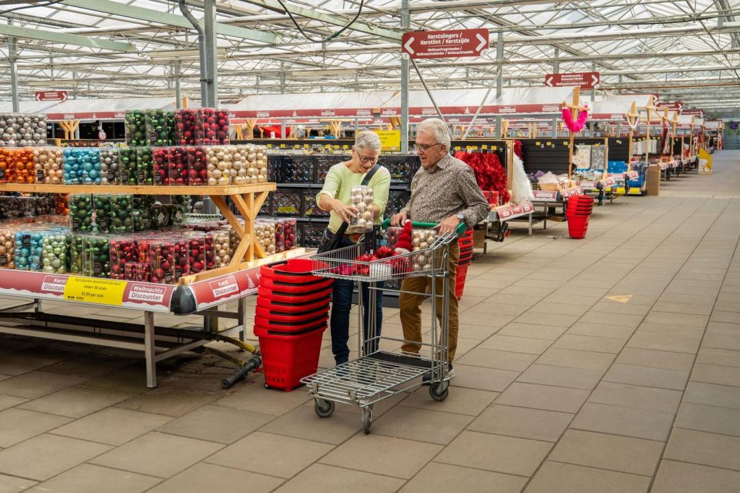 Gutschein im Wert von 50 Euro auf das gesamte Sortiment von Budgetplant.de in Venlo 