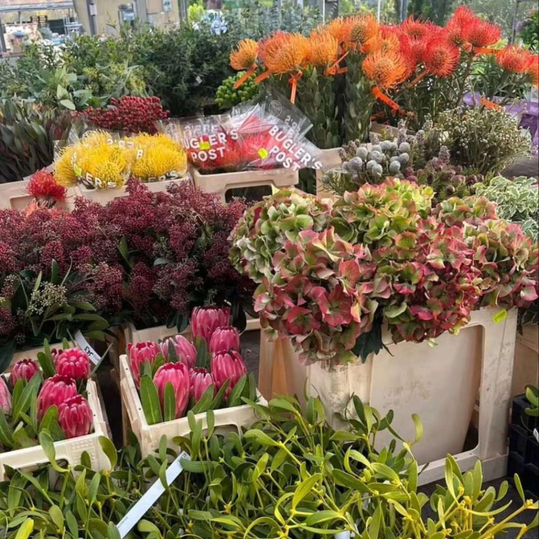 50 € Gutschein für Kissener's Gartenmarkt