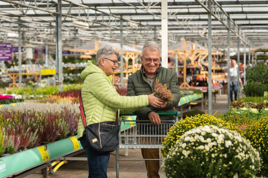  Gutschein im Wert von 50 Euro auf das gesamte Sortiment von Budgetplant.de in Venlo 