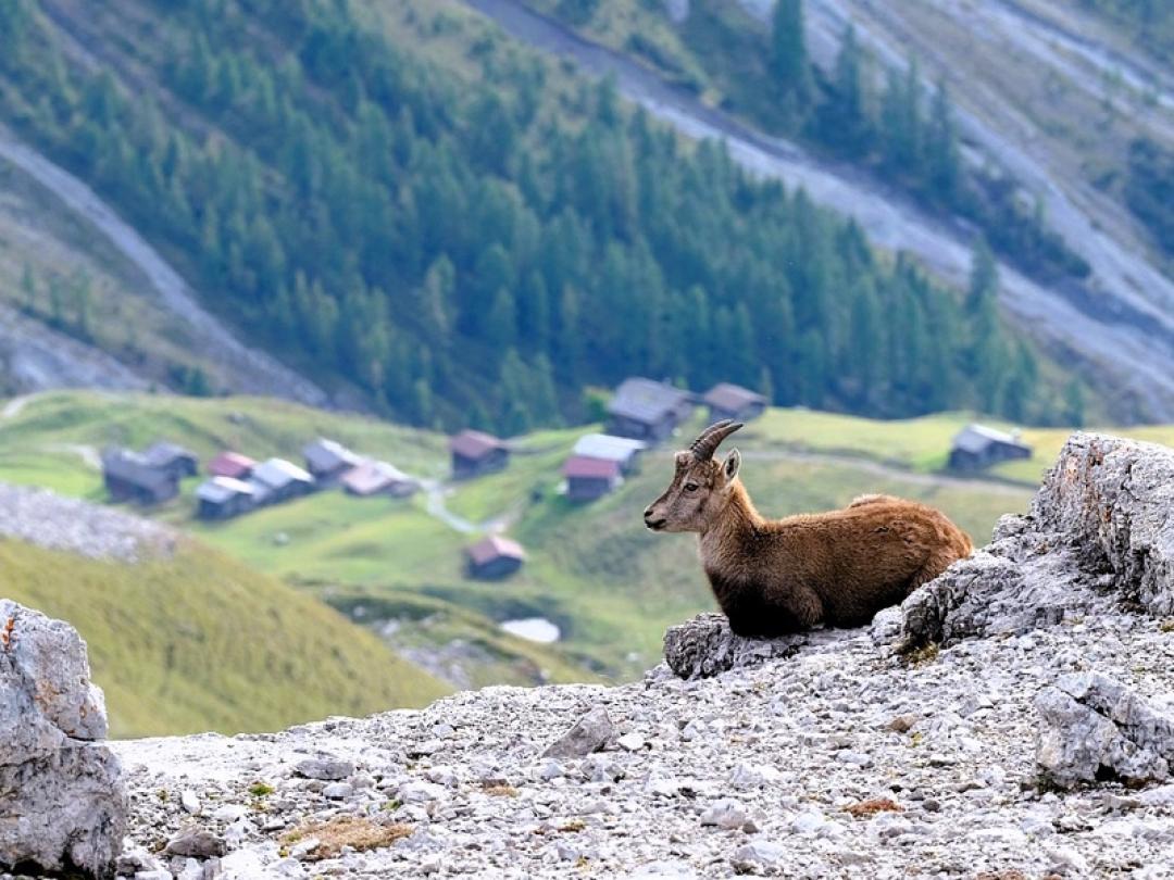 6 Tage Schweiz mit wunderbaren Ausflügen - für 2 Personen 